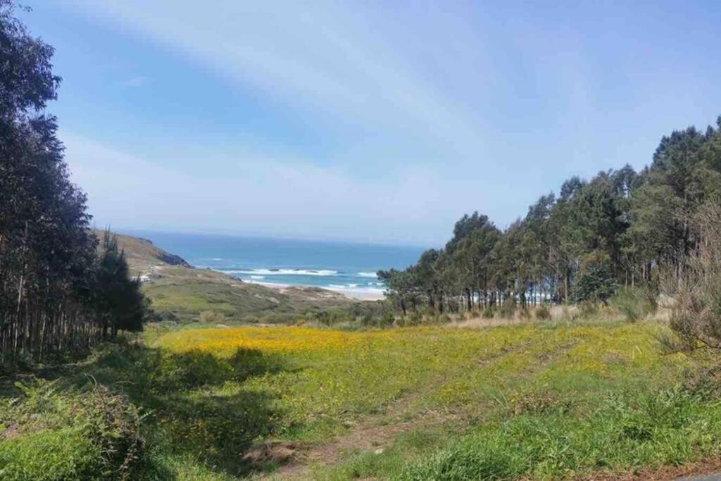 شقة Junto Camino De Santiago,1ª Linea De Playa فينيستيري المظهر الخارجي الصورة