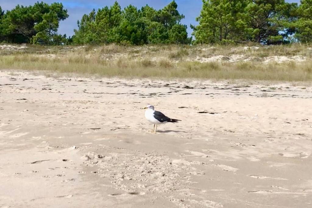شقة Junto Camino De Santiago,1ª Linea De Playa فينيستيري المظهر الخارجي الصورة